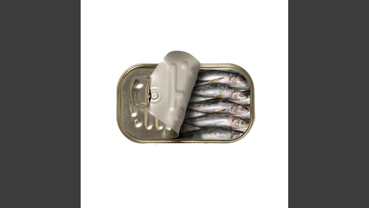 Long Sardine