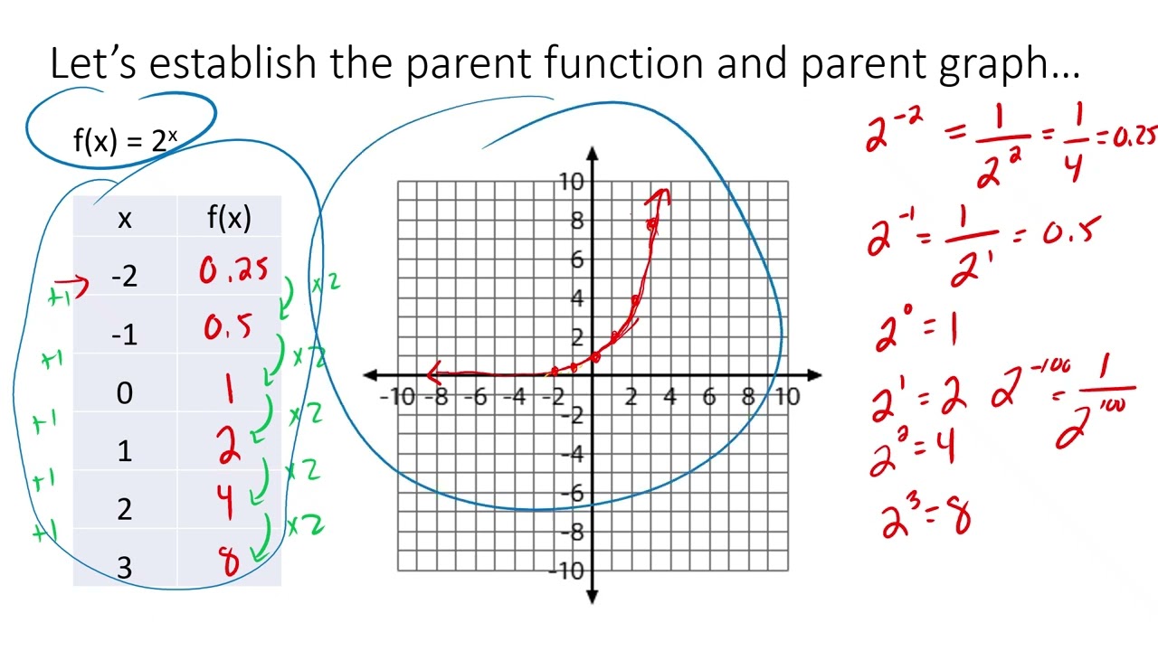 Exploring Exponential Functions  -  Graphs