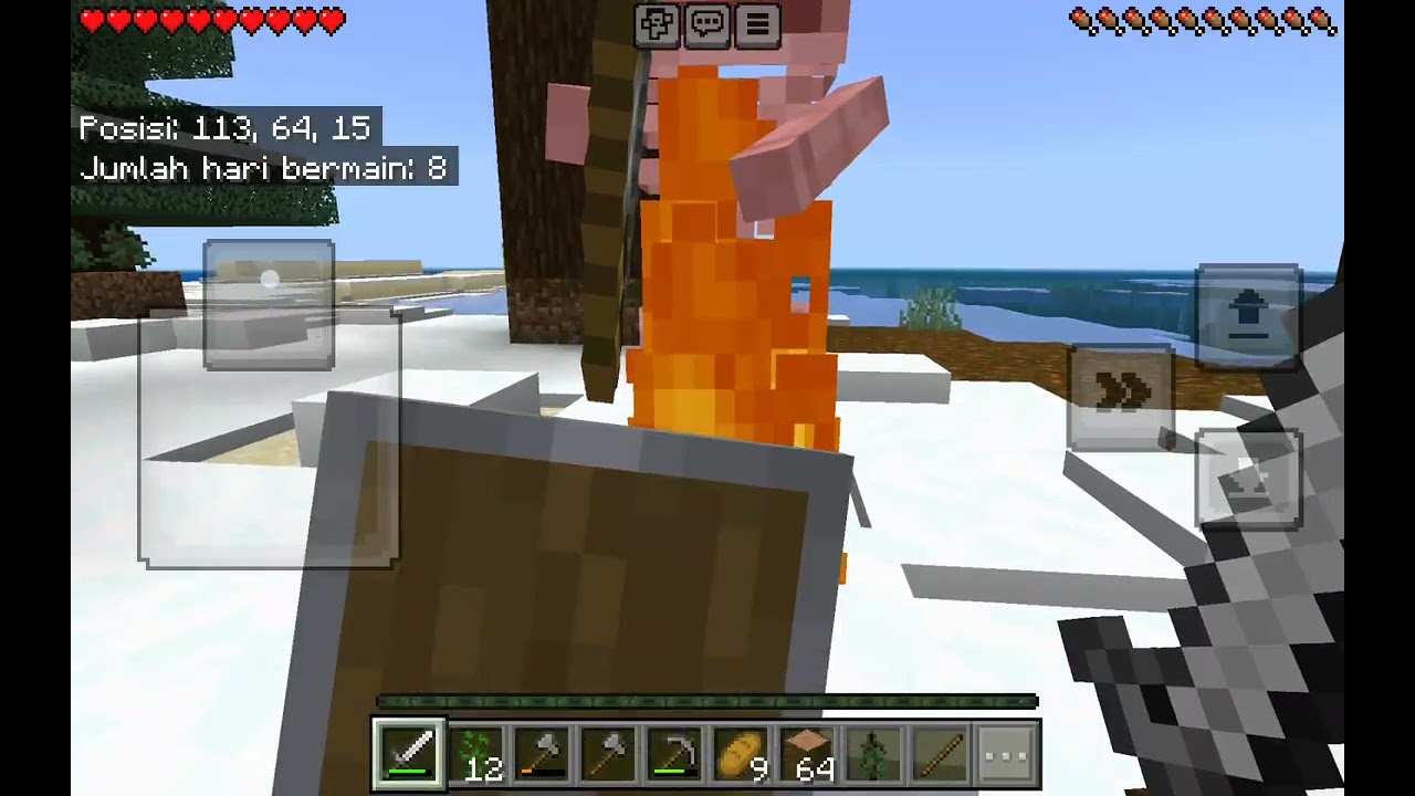 Aku mati di minecraft hardcore dan kita lanjutin yang survival ya