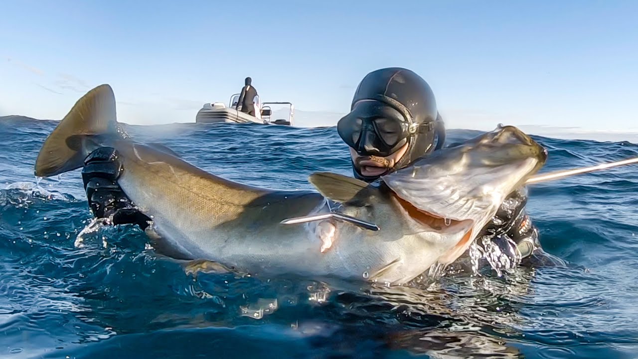 My BIGGEST fish in the UK - 2020 Spearfishing review