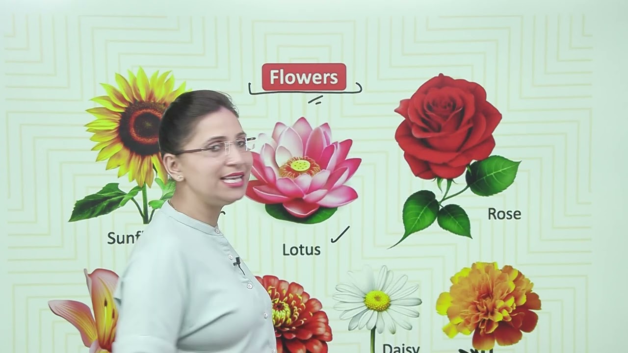 Ch 6   | Green world | My Gk & Moral Book |  Intro | Growing Mind | For children