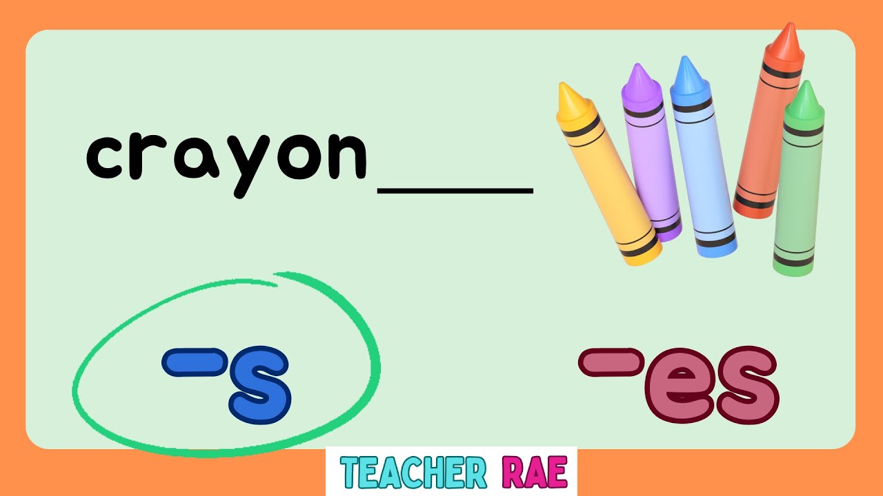 Singular and Plural Nouns ||  for Beginners || Grade 1 || Kindergarten