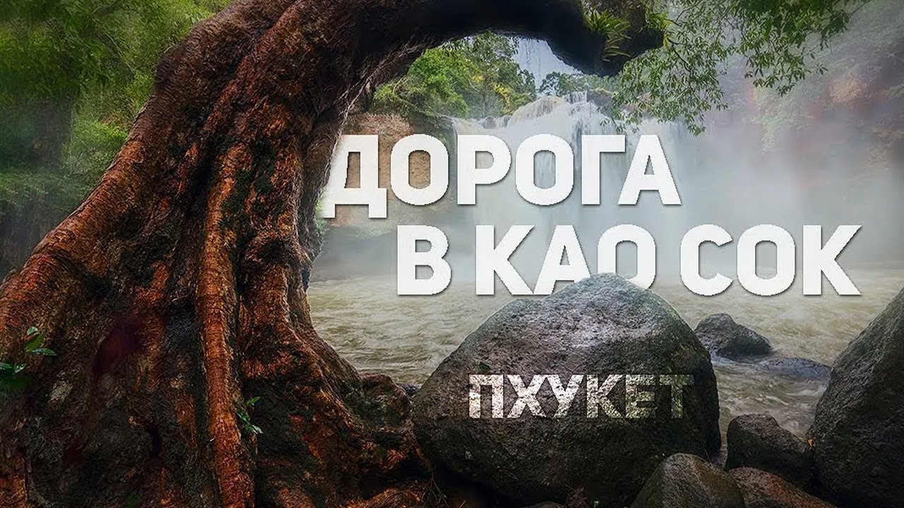 С Пхукета в Национальный парк 🌳 Као Сок своим ходом #каосок