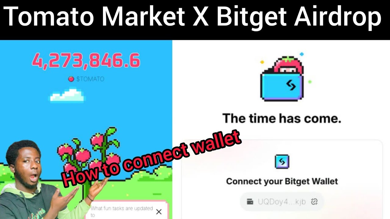 Tomato Airdrop: how to connect ton address to tomato using bitget wallet #cryptoairdrop
