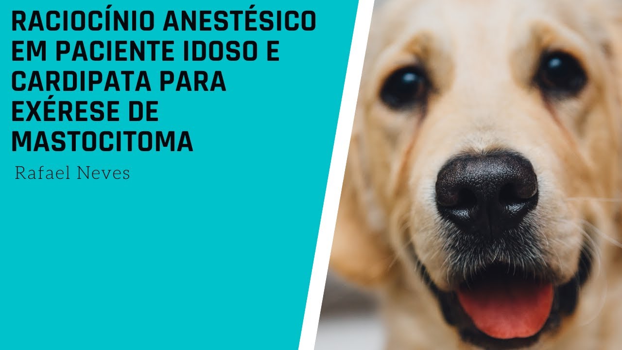 RACIOCÍNIO ANESTÉSICO EM PACIENTE IDOSO E CARDIPATA PARA EXÉRESE DE MASTOCITOMA