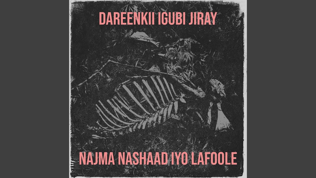 Dareenkii Igubi Jiray