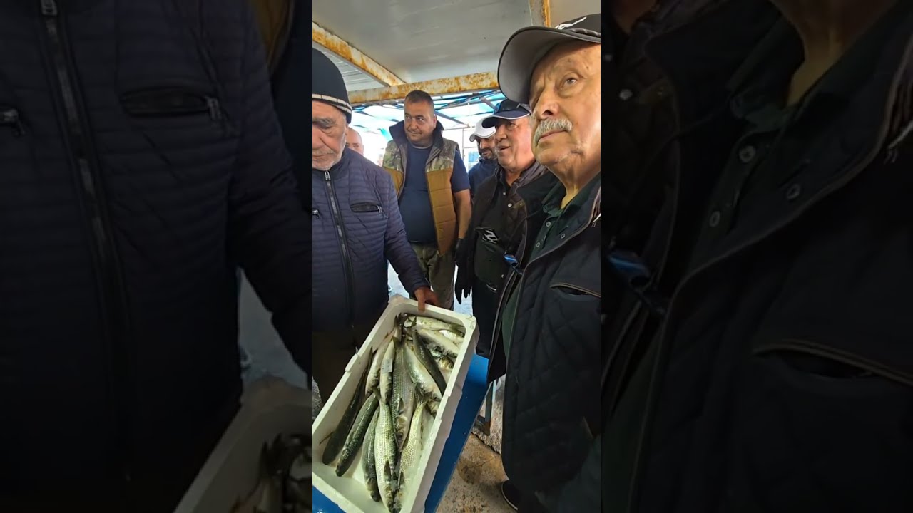 PUSULASIZ HAYAT kanalı canlı yayında. 19 MART PERŞEMBE.