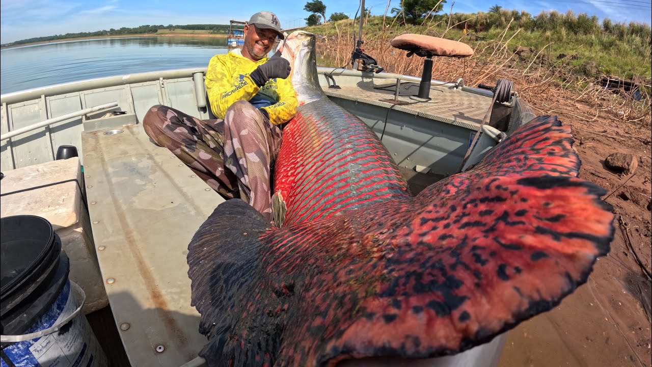 PIRARUCU GIGANTE 165 KG MEDINDO 2.50M