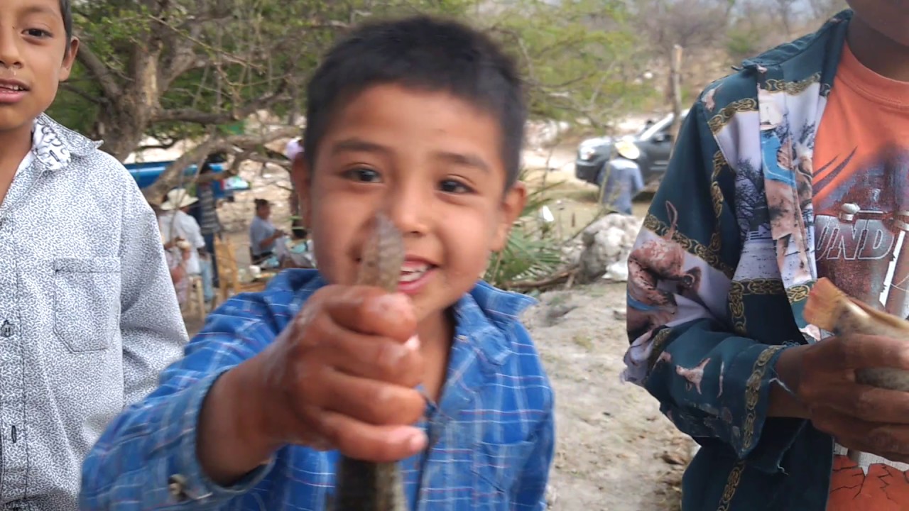 Niños San Miguel Atlapulco, Huehuetlán el Grande