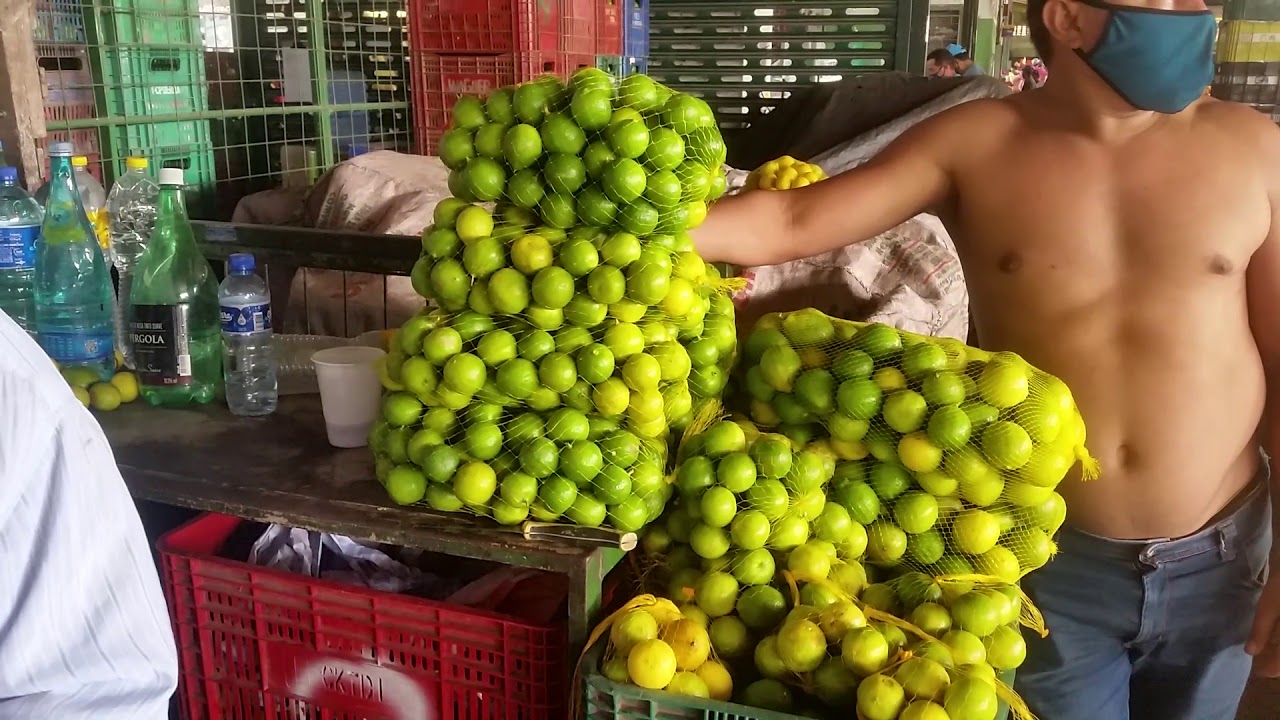 CEASA-MARACANAÚ /Ce