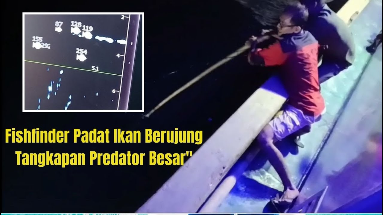 Epic Catch: Fishfinder Shows Dense School of fish Leading to a Massive Predator Fish!