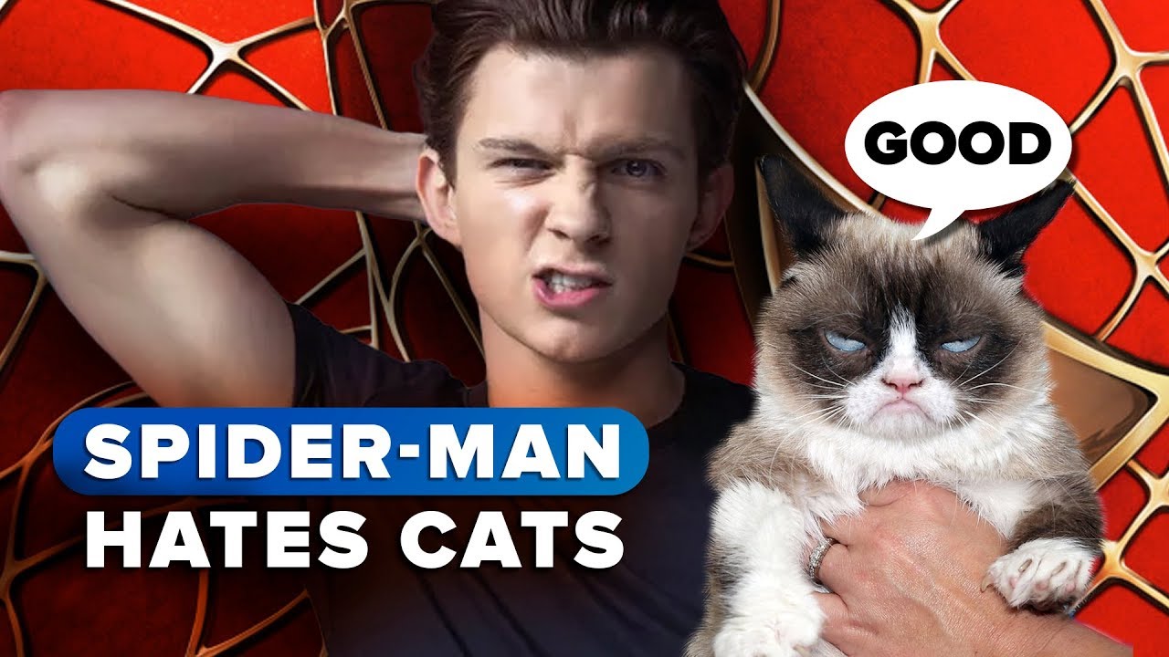 Spider-Man really, really hates cats