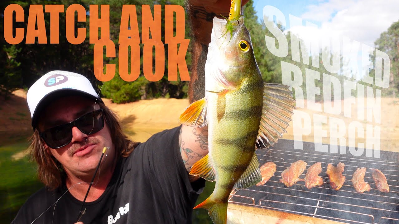 CATCH AND COOK | Smoked Redfin Perch