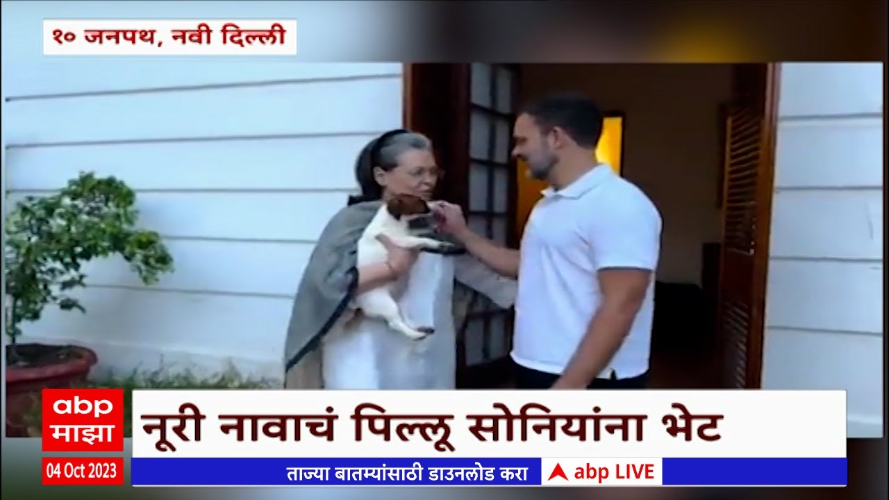 Rahul Gandhi gifts Dog to Sonia Gandhi : राहुल गांधींकडून सोनिया गांधींना श्वानाचं पिल्लू भेट