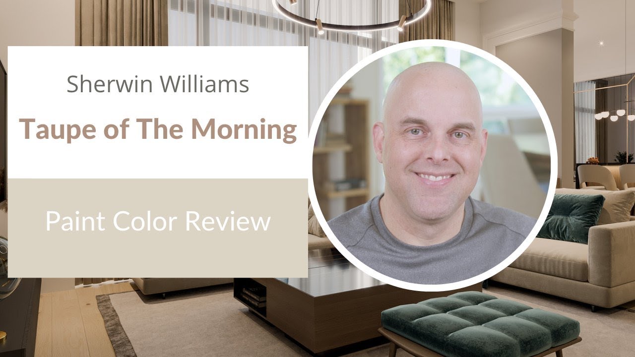 Sherwin Williams Taupe of The Morning Paint Color Review