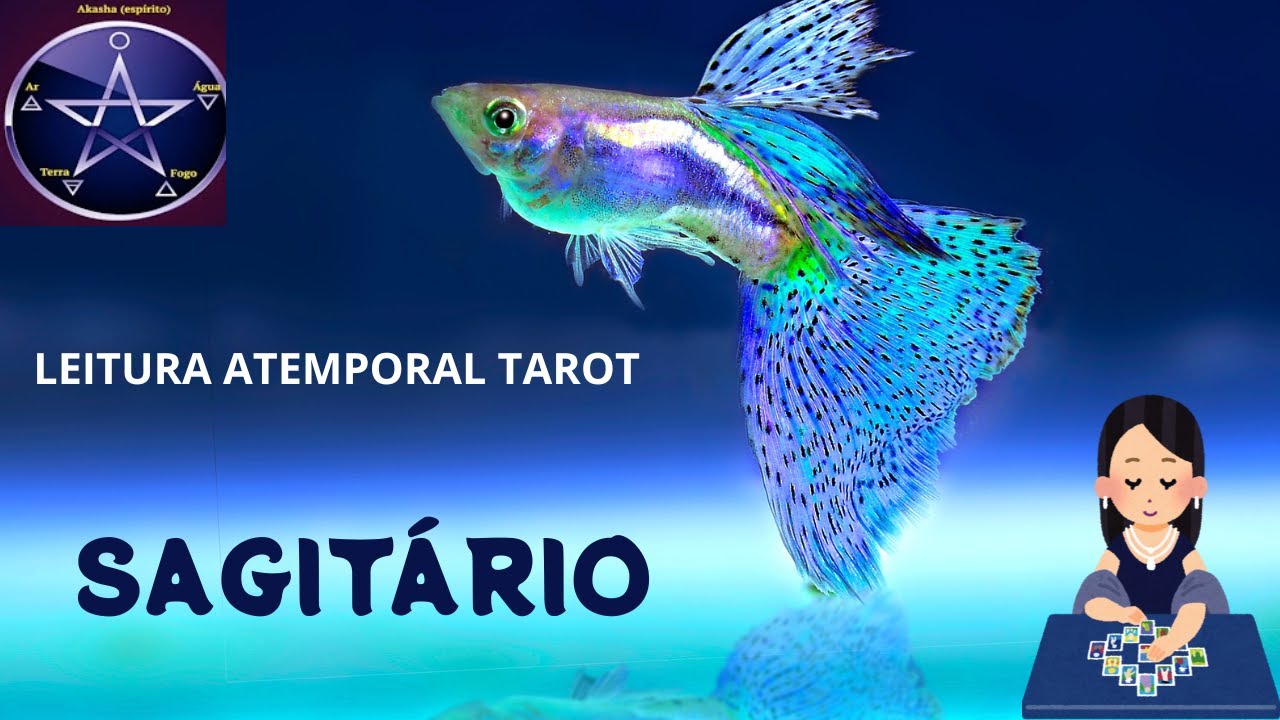 ♐SAGITÁRIO - UMA OPORTUNIDADE BOA CHEGANDO!! NÃO DEIXE O ORGULHO ATRAPALHAR.