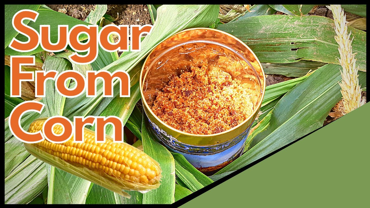 How To Make Syrup/Sugar From Corn