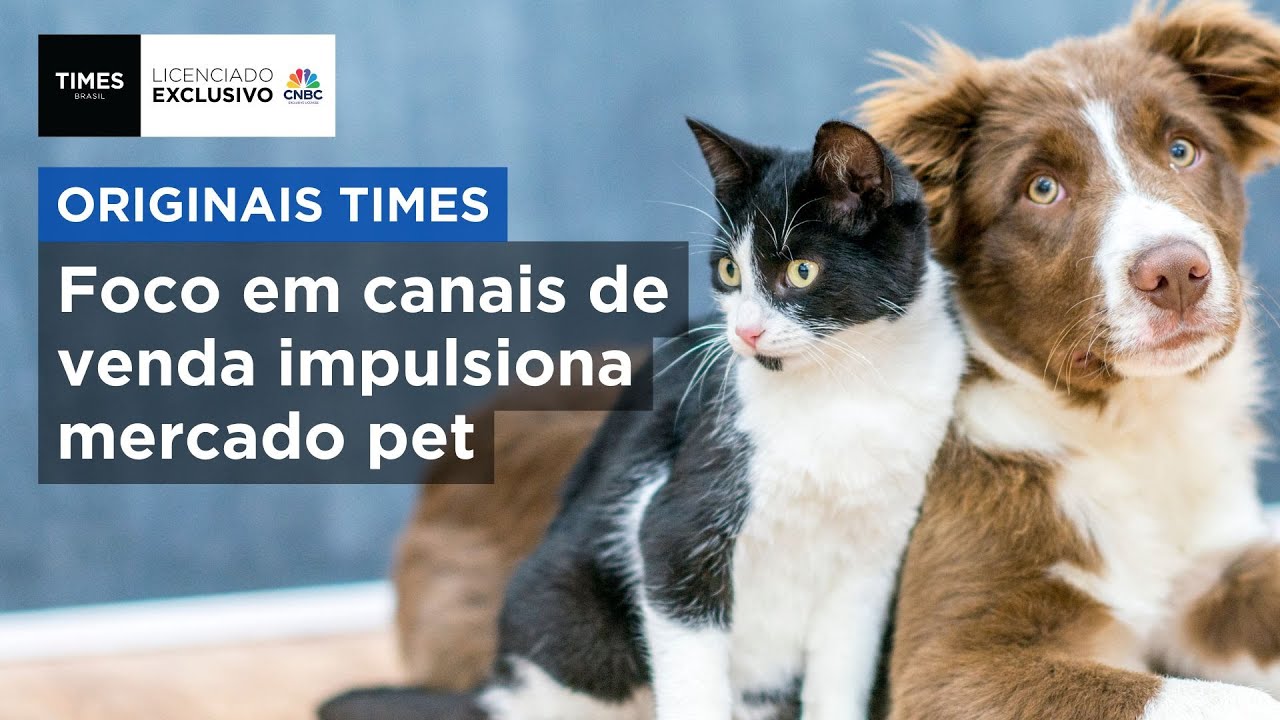 Como o mercado pet no Brasil cresce e já movimenta R$ 75 bilhões em um ano | ORIGINAIS TIMES