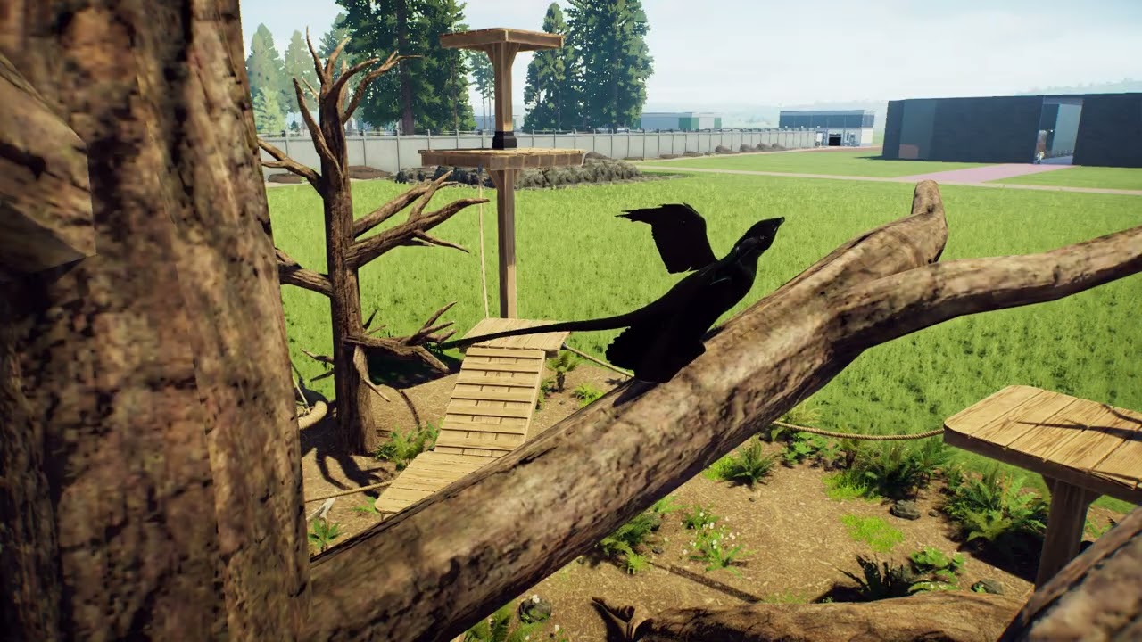 Microraptor