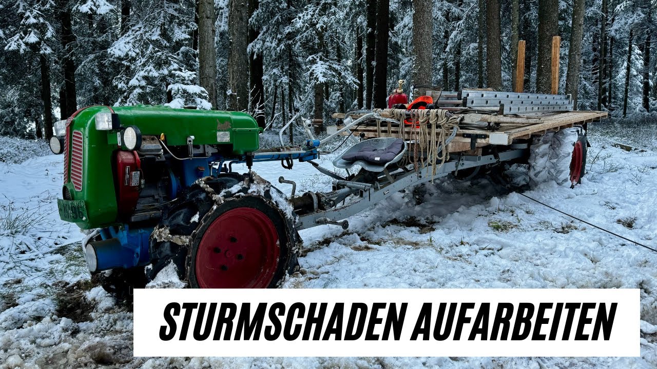 Sturmschaden aufarbeiten mit Rapid s-spezial mit Jost Anbauseilwinde und Husqvarna Motorsäge.