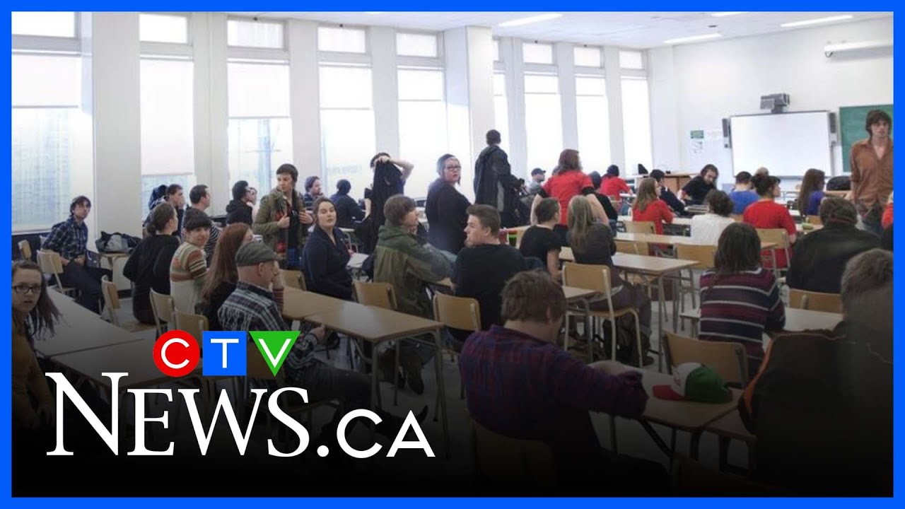 American students studying in Canada don&rsquo;t want to go back to the U.S.