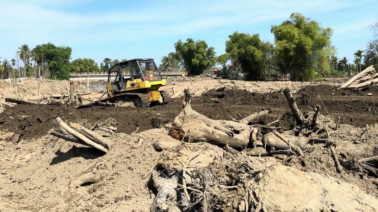 Bulldozer in Action: Turning Wild Land into a Construction Site