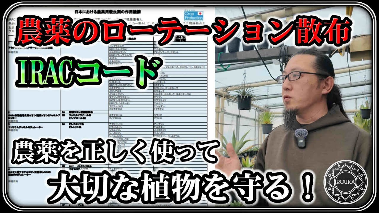 【園芸・農薬】アガベに農薬のローテーション散布！IRACコードの読み方を覚えて大事な植物を害虫から守る【Agave】【多肉植物】