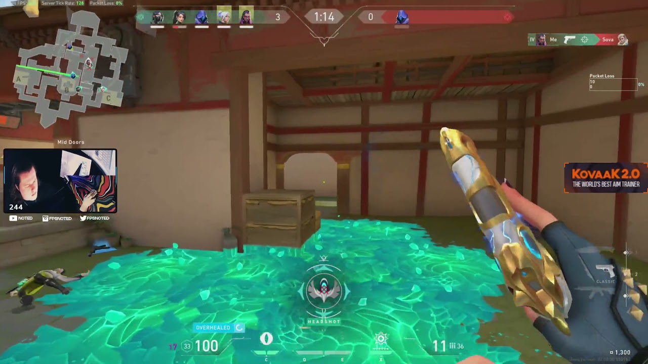 What 1000 Hours Of Koovaks Look Like