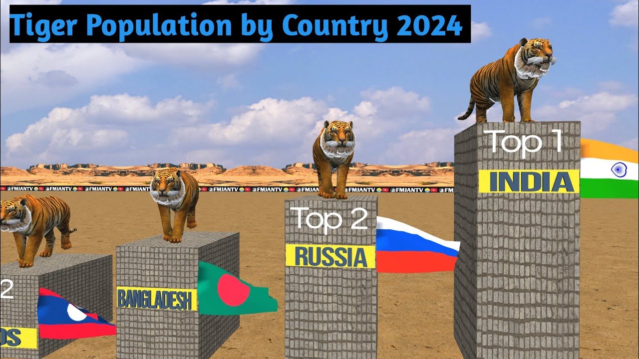 Tiger population by country 2024|🐯 Population|3D