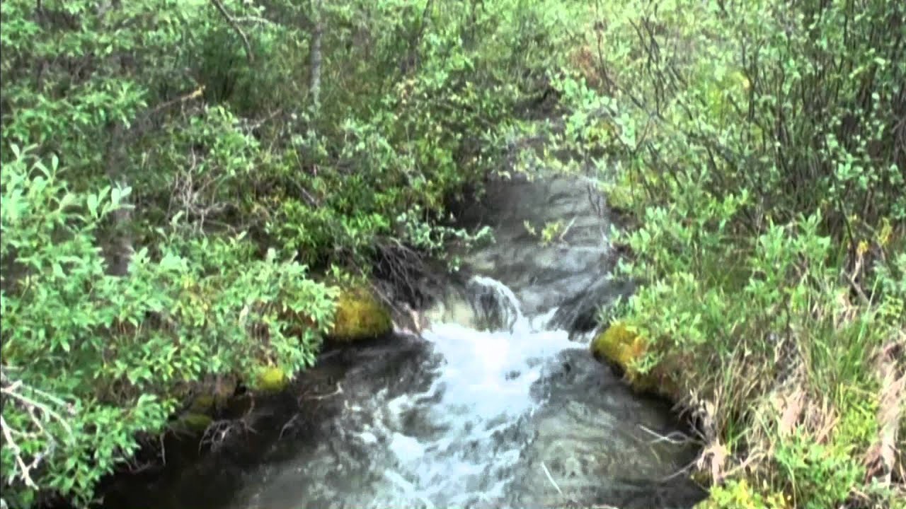 Canmore Creek Fish Habitat; V-Weirs and Deflectors .mp4
