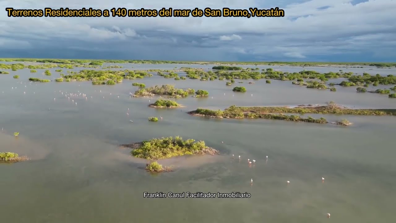 Recorrido Cayo Coco en San Bruno, Yucatán
