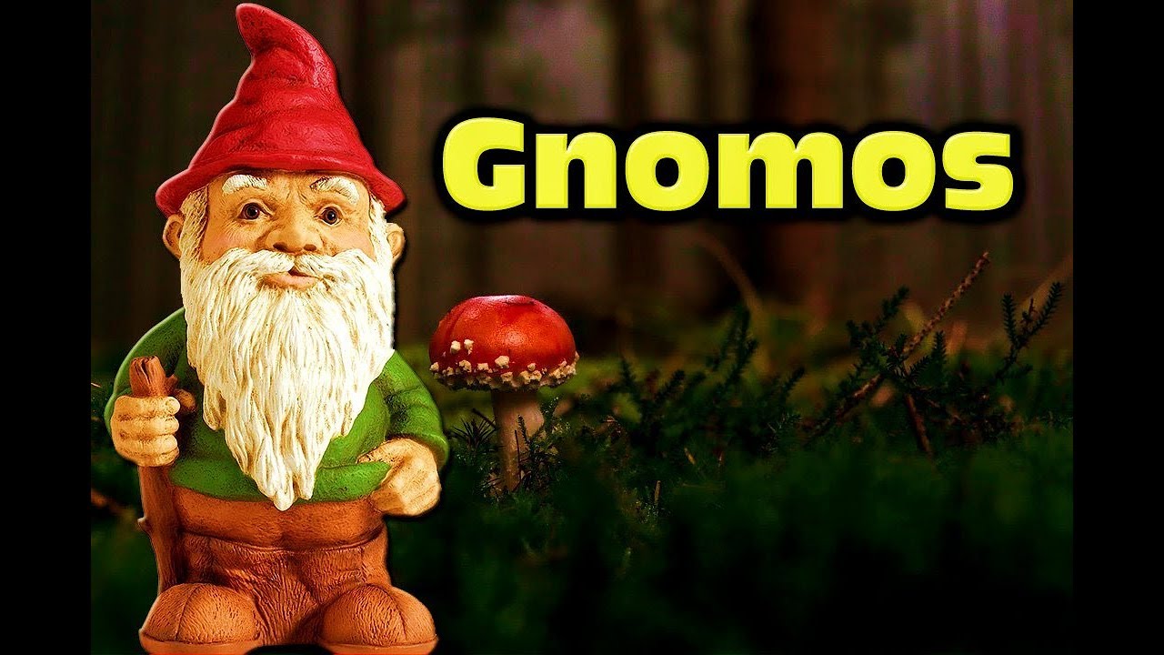 ¿Qué son los Gnomos?  | Documental