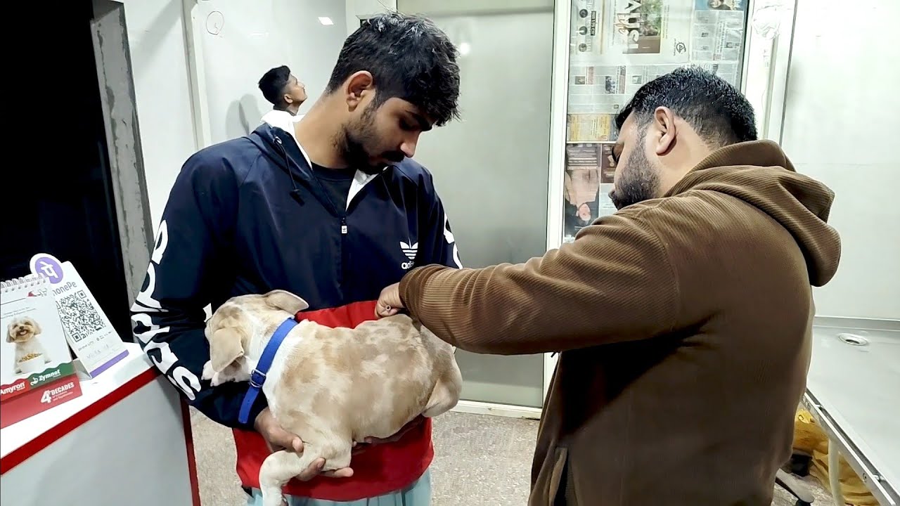 Lalic Ki First Vaccination Bhi Ho Gayi Aaj ☺️