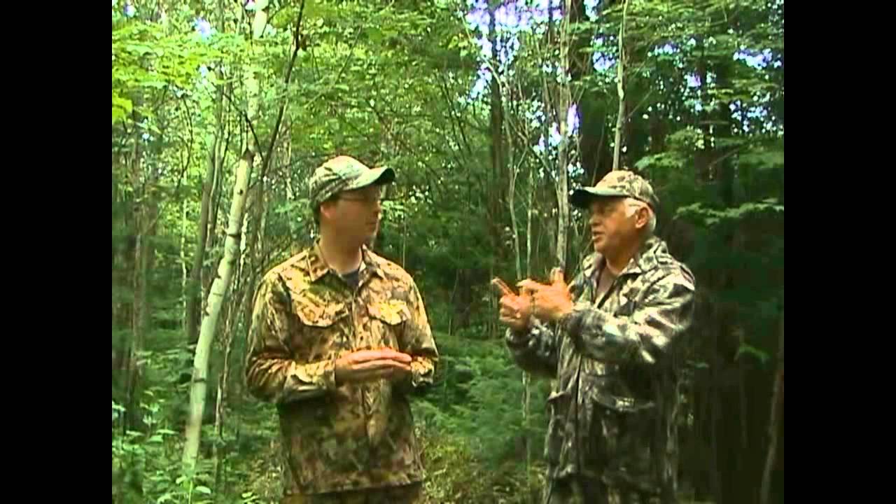 Orignal: Explications comment reproduire le call magique du Maheu
