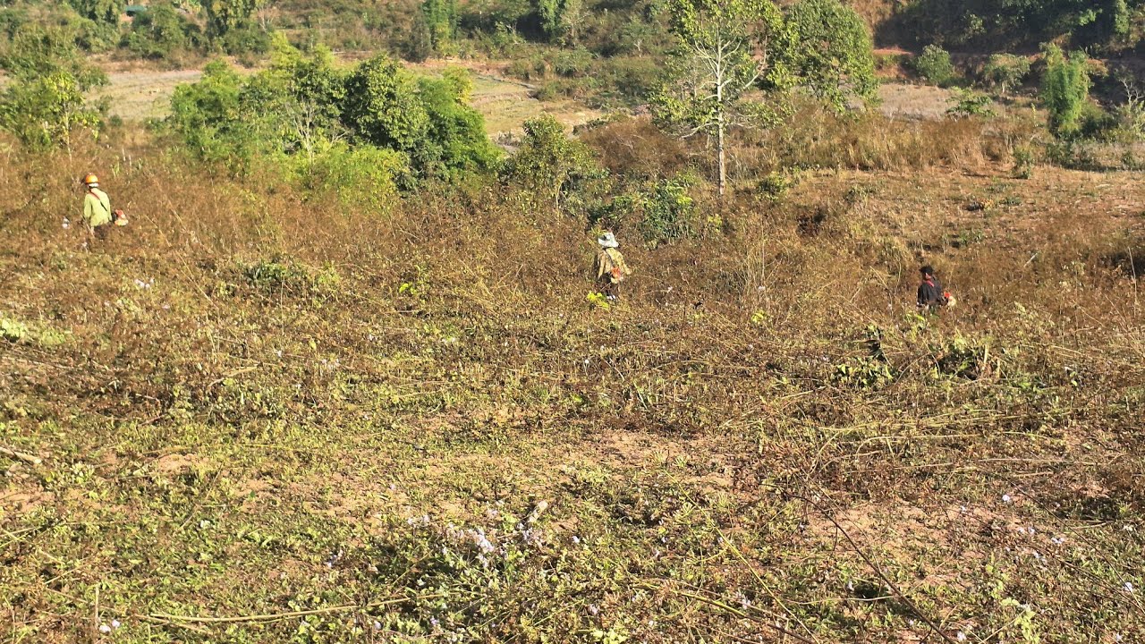 Công việc mới của len sung