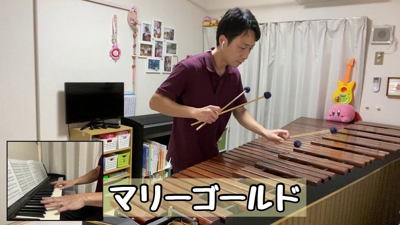 【マリンバ演奏】マリーゴールド / あいみょん