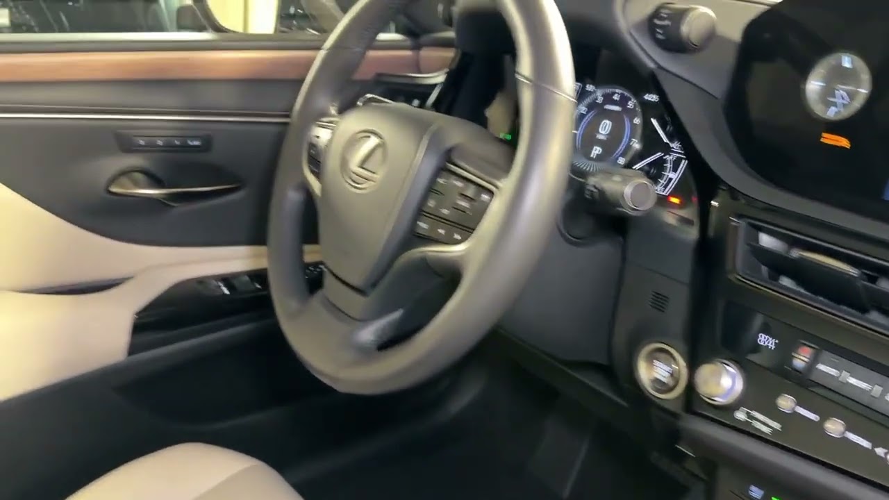 2023 Lexus ES 250 Rockville, Potomac, Bethesda, DC, Gaithersburg MD