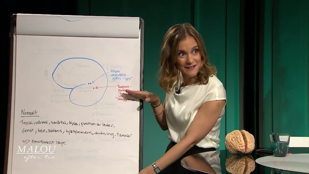 Hjärnforskaren förklarar: Så fungerar en nära-döden-upplevelse - Malou Efter tio (TV4)