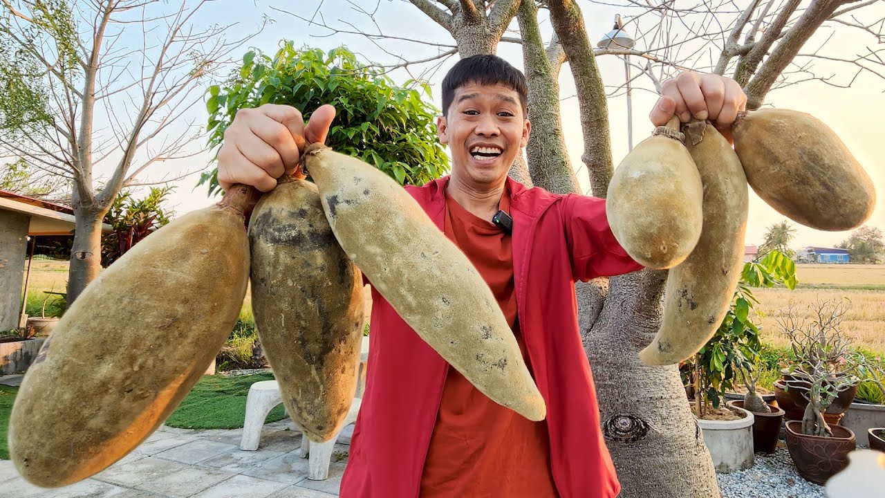 ผลไม้แปลกข้างในเป็นขนมปัง | เอิร์ธสดชื่น