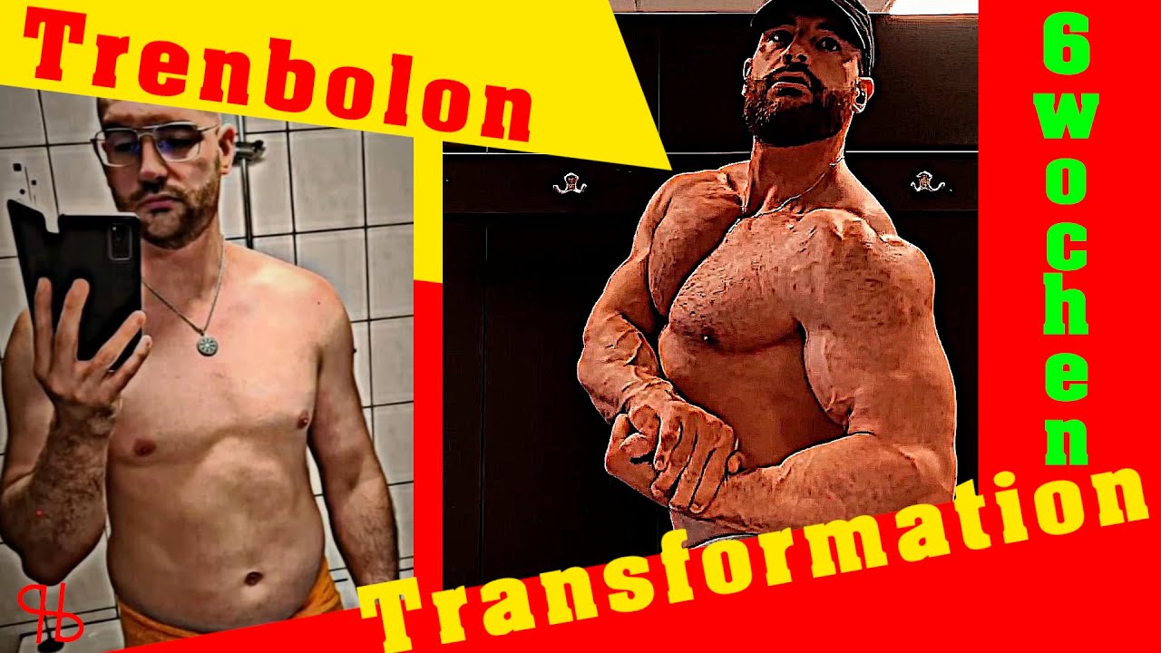 6 Wochen Trenbolon Transformation | Tren Erfahrung