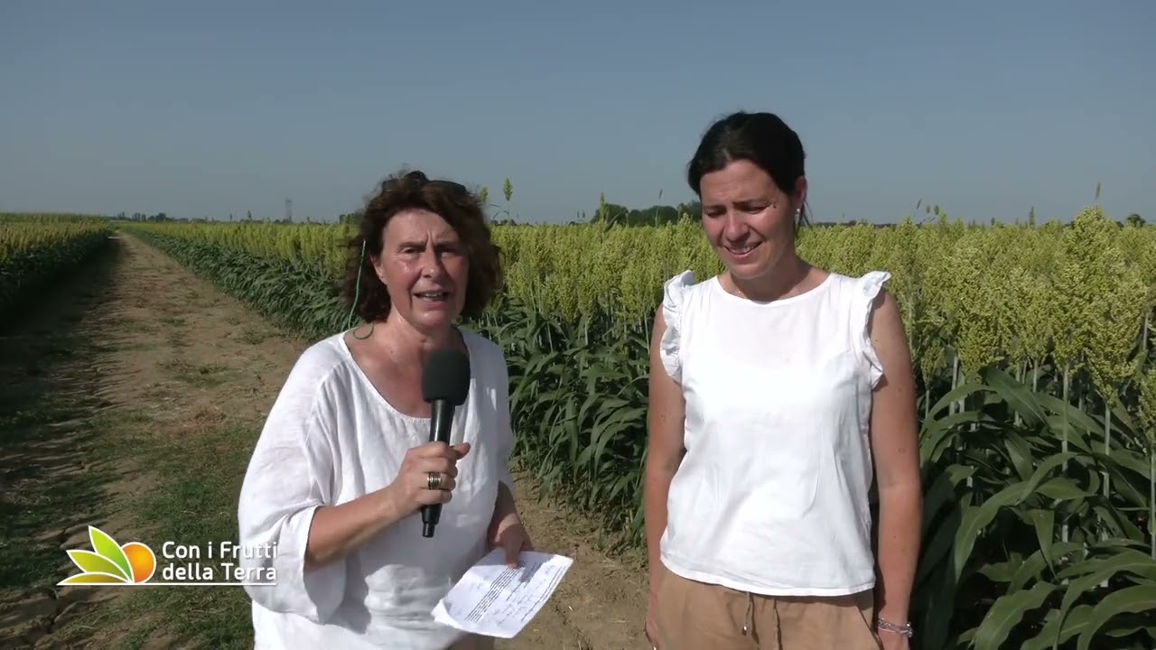 SORGO RV Venturoli - Il progetto CERTI