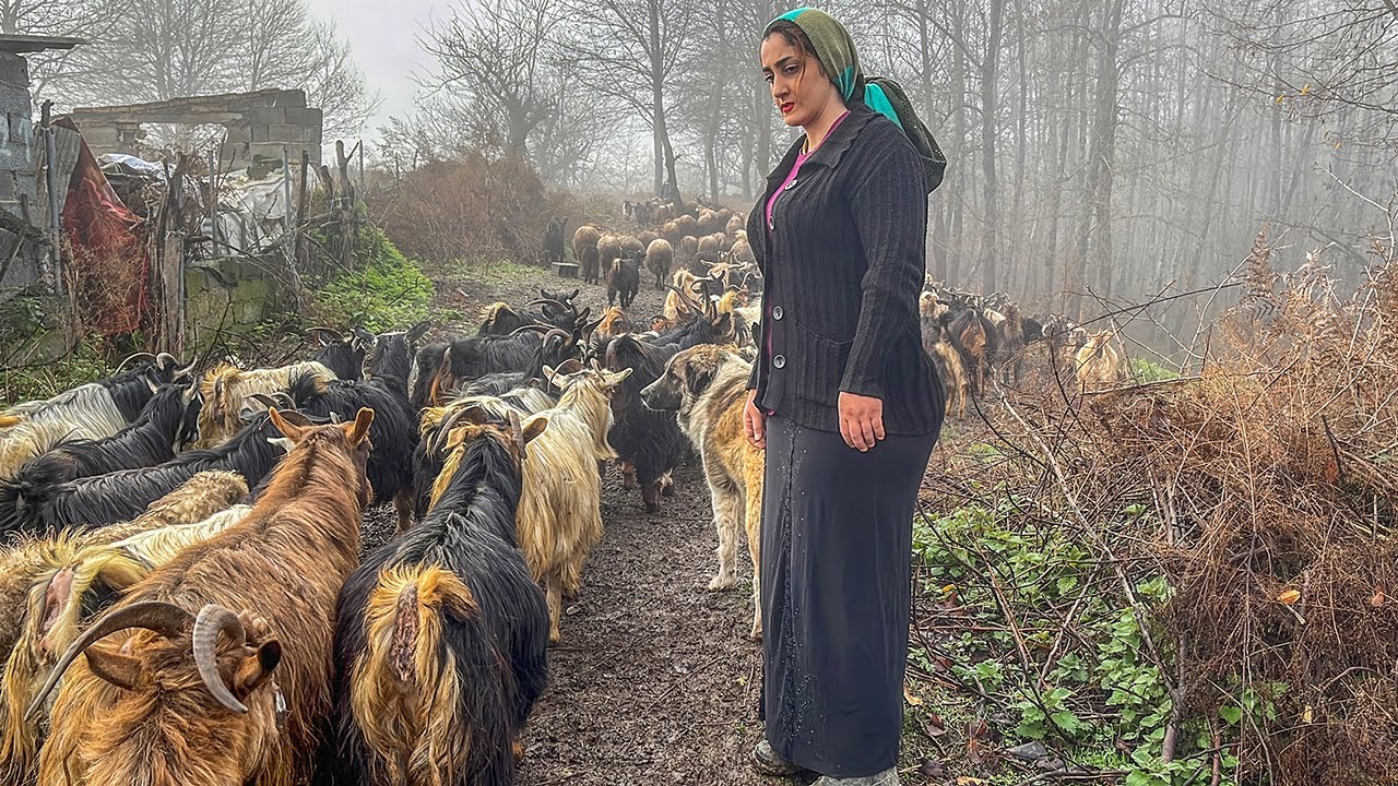 IRAN Nomadic Life | Discover the simple beauty of village life in the Alborz mountains