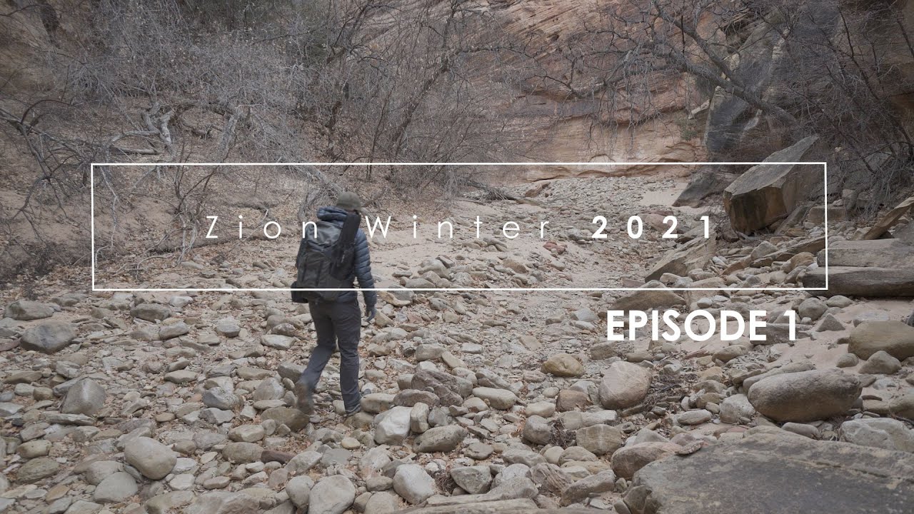 Photographing Zion, Winter 2021: Episode 1