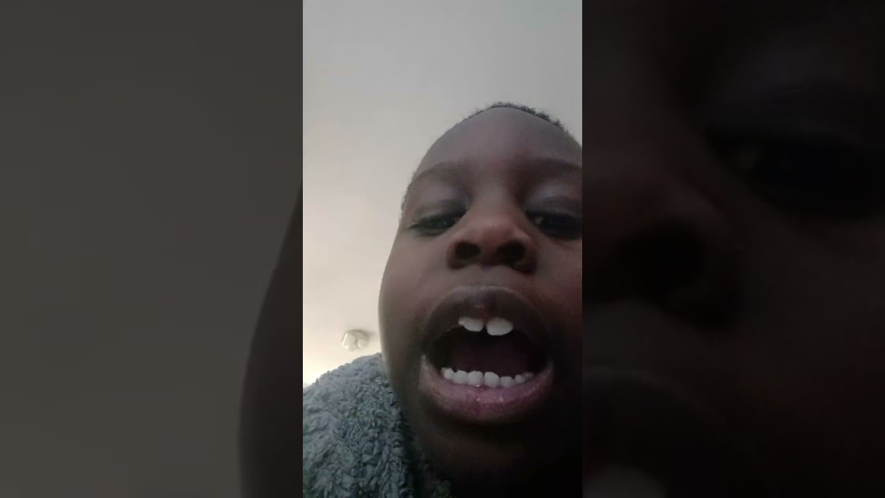 Sane D Video's 
