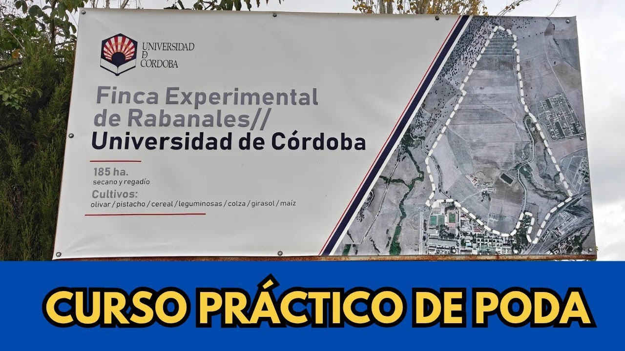 🟥 CURSO DE PODA PARA DOCENTES DE FORMACIÓN PROFESIONAL