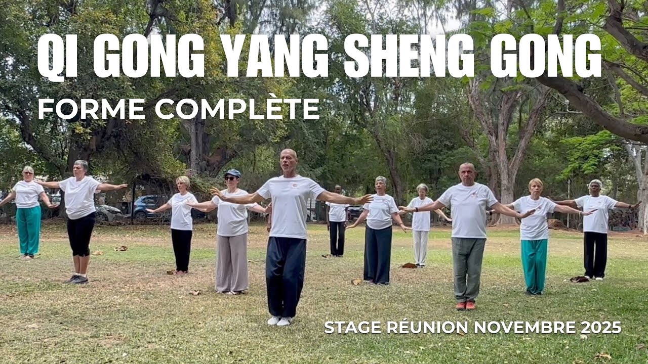 Qi Gong Yang Sheng Gong Shi Er Fa - forme complète  - Stage novembre 2025. La Réunion
