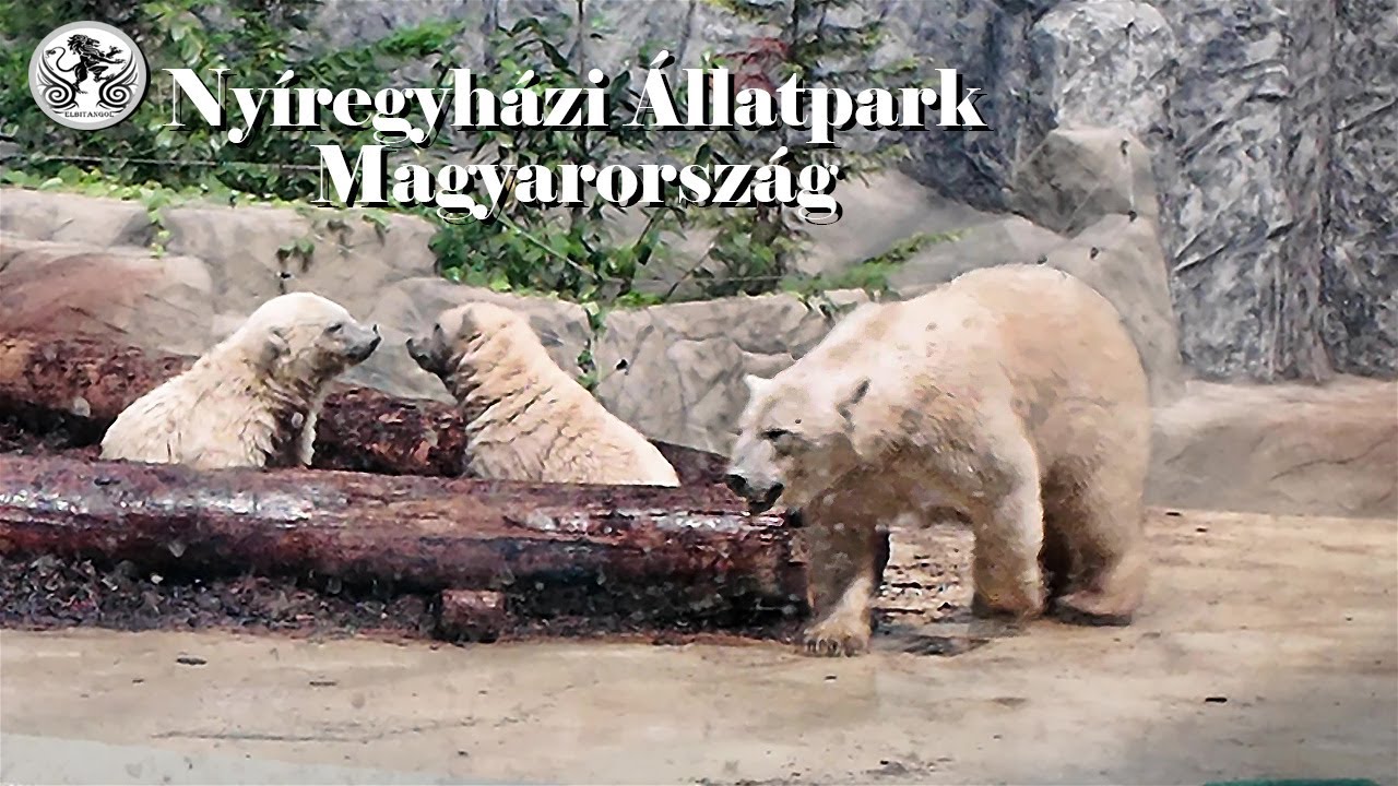 A Nyíregyházi Állatpark