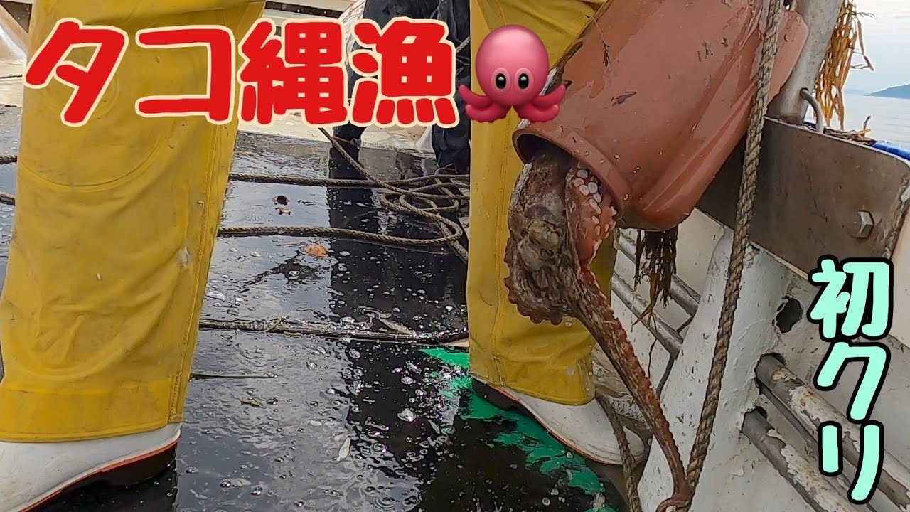 【タコ縄漁】３日間海底に放置したタコ縄を引き上げてみましたが果たして大漁なるか？