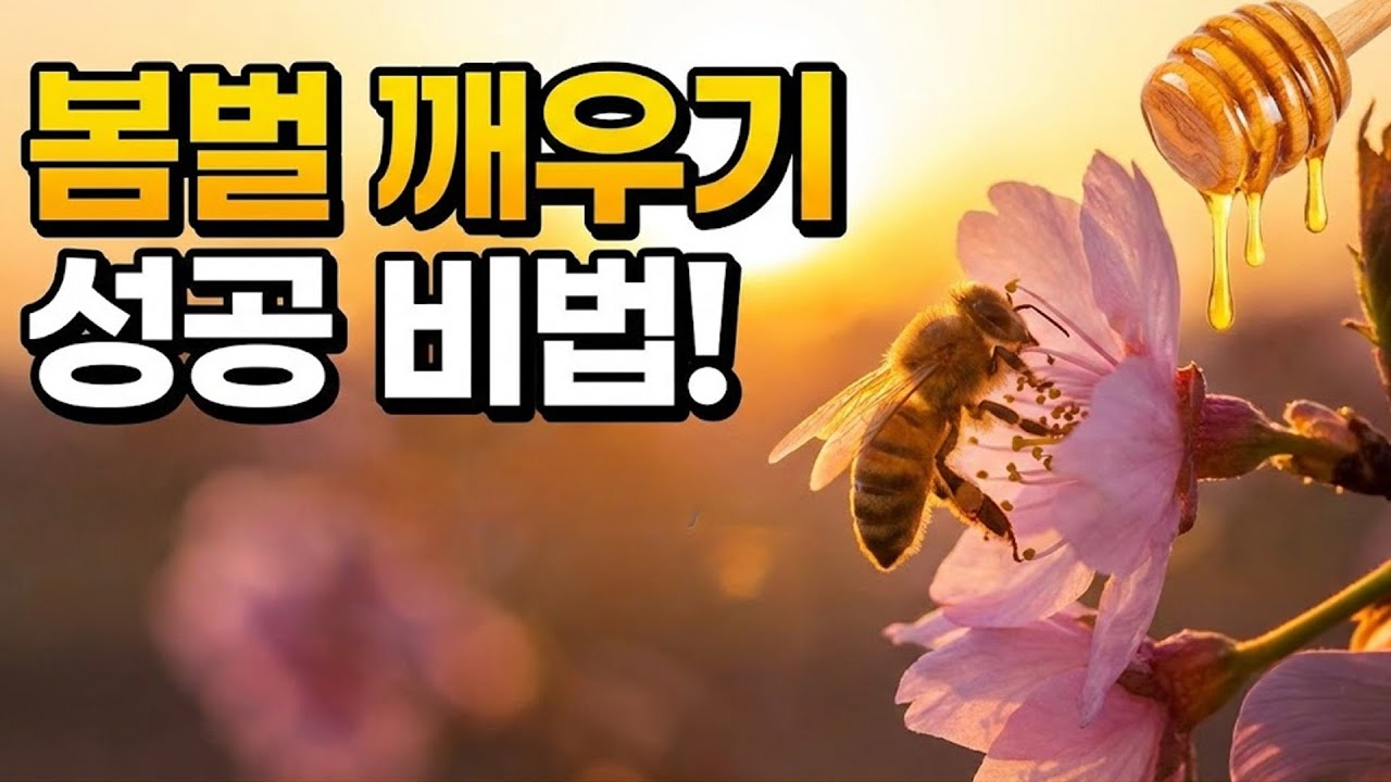 [미희네벌꿀농장] 봄벌깨우기 #양봉 #bee #봄벌