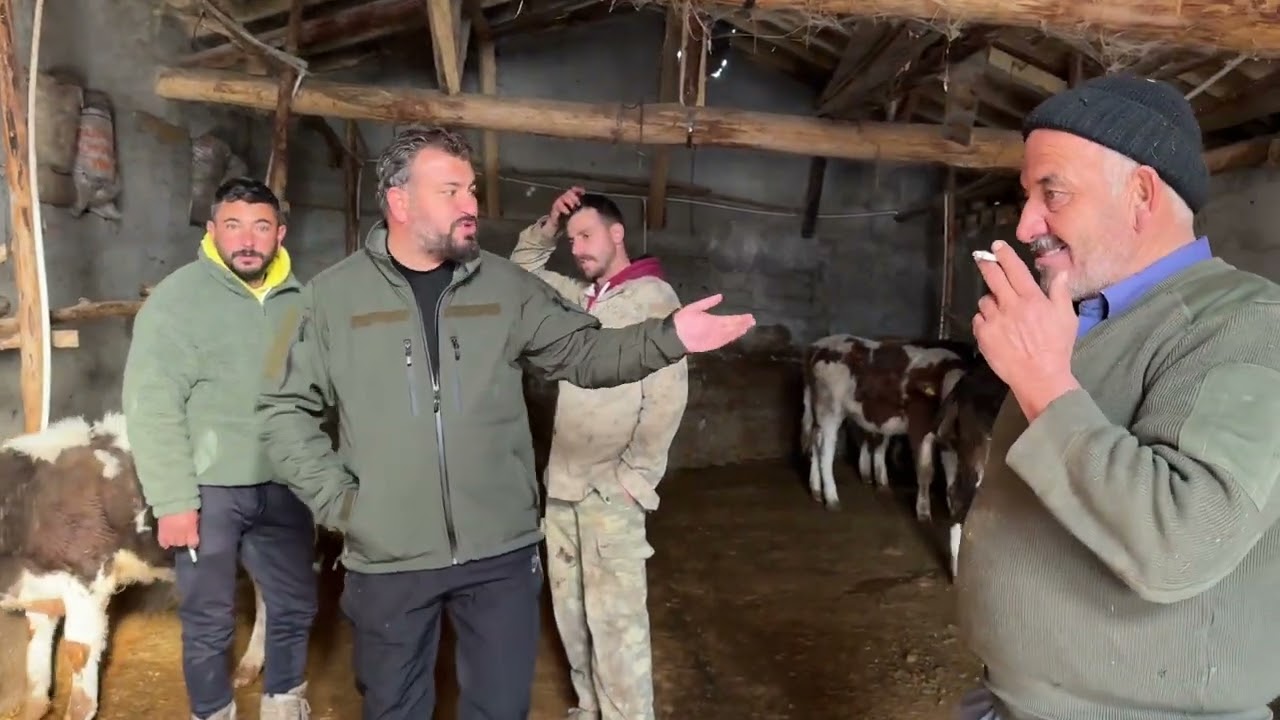 PAZARLIKLARA DEVAM